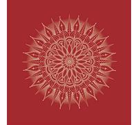 Julie's Haircut - Karlsruhe, Fountain (Mix) [VINYL]