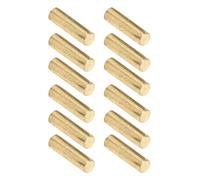 Julihai 12PCS Pickup Magnet Slug Rods, for Electric Guitar Replacement Magnetic Columns with Compact Size, Strong Compatibility (Gold)