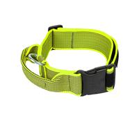 Julius K-9 Collar 40 Mm Dog Collar