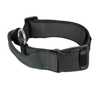Julius K-9 Collar 50 Mm Dog Collar