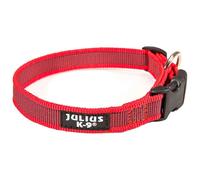 Julius K-9 Dog Collar