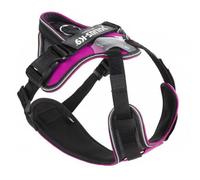 Julius K-9 Idc® Longwalk Dog Harness