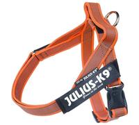 Julius K-9 Idc Mini Norwegian Dog Harness