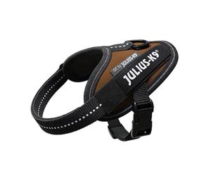 Julius K-9 IDC Power Harness with Logo Field Baby 1 Chocolate Brown