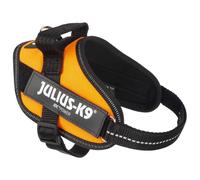Julius K-9 Idc® Power Mini Dog Harness