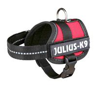 Julius K-9 Power Baby Dog Harness