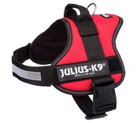 Julius K-9 Power Dog Harness