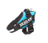 Julius-K9, 16IDC-AM-2, IDC-Powerharness, Size: 2, Aquamarine