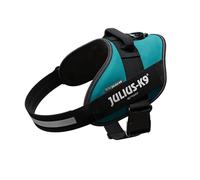 Julius-K9, 16IDC-PG-2, IDC Powerharness, dog harness, Size: XL/2, Petrol Green