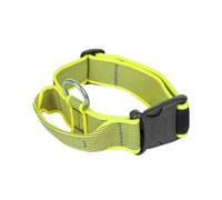 Julius-K9 Color and Gray Collar with Handle and Interchangeable Patch, 40 mm (38-53 cm), Neon-Gray