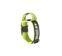 Julius-K9 Color & Gray Collar with Handle, Safety Lock and Interchangeable Patch, 50 mm (49-70 cm), Neon-Gray