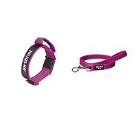 Julius-K9 Color & Gray Collar With Handle, Safety Lock, Interchangeable Patch, 40 mm (38-53 cm), Pink-Gray & Super-Grip Leash With Handle, 20 mm x 1 m, Pink-Gray