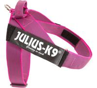 Julius-K9, IDC Color & Gray Belt Harness, Size: L / 1, Pink-Gray