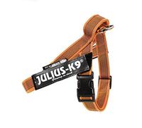 Julius-K9, IDC Color & Gray Belt Harness, Size: M / 0, Orange-Gray
