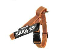 Julius-K9, IDC Color & Gray Belt Harness, Size: S / Mini, Orange-Gray