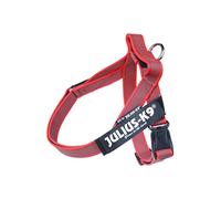 Julius-K9, IDC Color & Gray Belt Harness, Size: S / Mini, Red-Gray