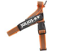 Julius-K9, IDC Color & Gray Belt Harness, Size: XL / 2, Orange-Gray