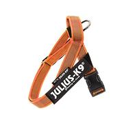 Julius-K9, IDC Color & Gray Belt Harness, Size: XS / Mini-Mini, Orange-Gray