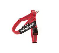Julius-K9, IDC Color & Gray Belt Harness, Size: XS / Mini-Mini, Red-Gray