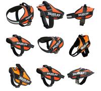 Julius-K9 16IDC-FOR-1 IDC Powerharness, Dog Harness, Size 1, UV Orange