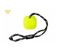 Julius-K9 IDC® Fluorescent dog ball on a rope soft puppy training chew toy