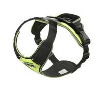 JULIUS-K9 IDC Longwalk Y-Harness, Neon-Gray, Size: L