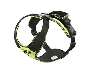 JULIUS-K9 IDC Longwalk Y-Harness, Neon-Gray, Size: L