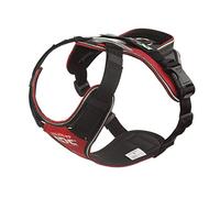JULIUS-K9 IDC Longwalk Y-Harness, Red-Gray, Size: L