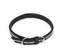 Julius-K9 IDC Lumino Phosphorescent Collar, 25 mm x 70 cm, Black