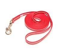Julius-K9 IDC-Lumino Phosphorescent Leash with Handle, 19 mm x 5 m, Red
