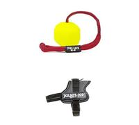 Julius-K9 IDC Neon Fluorescent Ball with String, 60mm IDC Powerharness, S/Mini, Anthracite