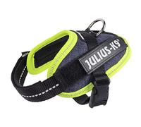 JULIUS-K9 IDC Powerharness, 2XS, no pull dog harness, Jeans with neon edge