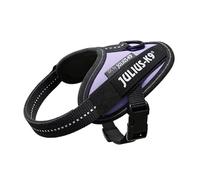 Julius K-9 Idc® Power Baby Dog Harness Purple Baby 1