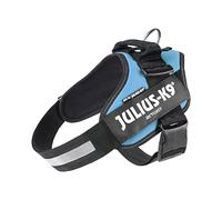 JULIUS-K9 IDC Powerharness, L, no pull dog harness, Aquamarine