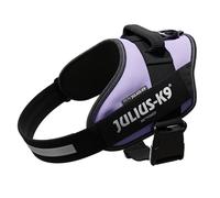 JULIUS-K9 IDC Powerharness, L, no pull dog harness, Purple