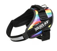 Julius-K9, 16IDC-JRBW-1, IDC Powerharness, dog harness, Size: 1, Rainbow