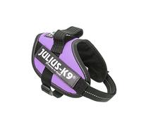 Julius-K9 IDC-Powerharness, Size Mini, Purple