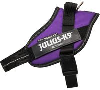 JULIUS-K9 IDC Powerharness, Size: 2XS/Baby 2, Dark Purple