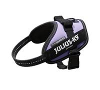 Julius-K9 IDC-Powerharness, Size Mini-Mini, Purple