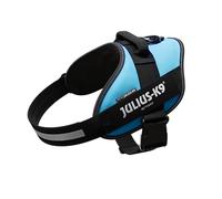 JULIUS-K9 IDC Powerharness, XL, no pull dog harness, Aquamarine