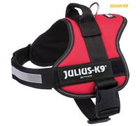 JULIUS K9 POWERHARNESS DOG PUPPY ADJUSTABLE STRONG HARNESS OFFICIAL DAILY WALKS