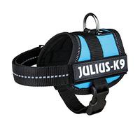 JULIUS-K9Powerharness, Size: 3XS/Baby 1, Aquamarine