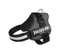 JULIUS-K9Powerharness, Size: XL/2, Anthracite