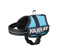 JULIUS-K9Powerharness, Size: XS/Mini-Mini, Aquamarine