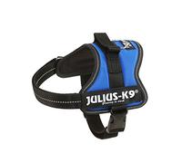 Julius-k9® Powerharness, Mini-mini/s: 40-53 Cm/22 Mm, Blue - Harness Dog K9 - harness dog k9 mini julius power juliusk9 powerharness blue puppy