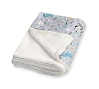 Julius Zöllner Winter Blanket Made of Cotton Jersey and Cuddly Teddy Fabric, Size 70 x 100 cm, Made in Germany, Oeko-Tex® Standard 100, Smart Friends
