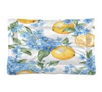 JUMBEAR Blue Forget Me Nots and Lemons Pet Bed,Non Slip Bottom Dog Crate Mattress Cat Dog Mat,Soft Comfortable Pet Cat Beds for Cats and Dogs Sleeping 36x24in