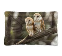JUMBEAR Cute Barn Owl Pet Bed Mats,Non Slip Bottom Dog Crate Mattress Cat Dog Mat,Soft Comfortable Pet Cat Beds for Cats and Dogs Sleeping 24x18in