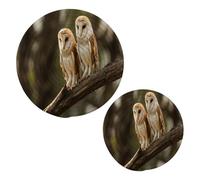 JUMBEAR Cute Barn Owl Potholders Set Trivets Set 2PCS,Pure Cotton Thread Weave Hot Pot Holders Set,Stylish Coasters, Hot Pads, Hot Mats,Spoon Rest For Cooking and Baking