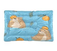 JUMBEAR Cute Capybara Pet Bed,Non Slip Bottom Dog Crate Mattress Cat Dog Mat,Soft Comfortable Pet Cat Beds for Cats and Dogs Sleeping 24x18in